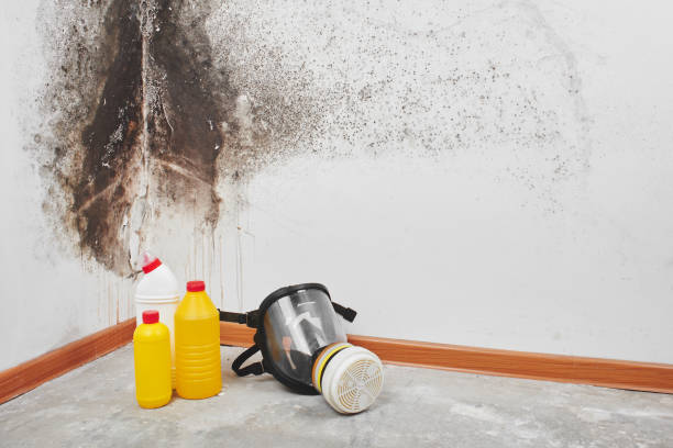 Best Crawl Space Mold Remediation in Esparto, CA