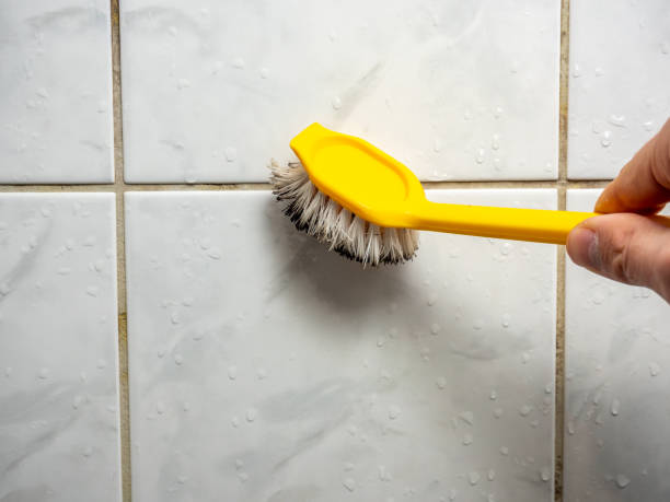 Best Localized Mold Remediation (e.g., coastal areas, humid climates) in Esparto, CA