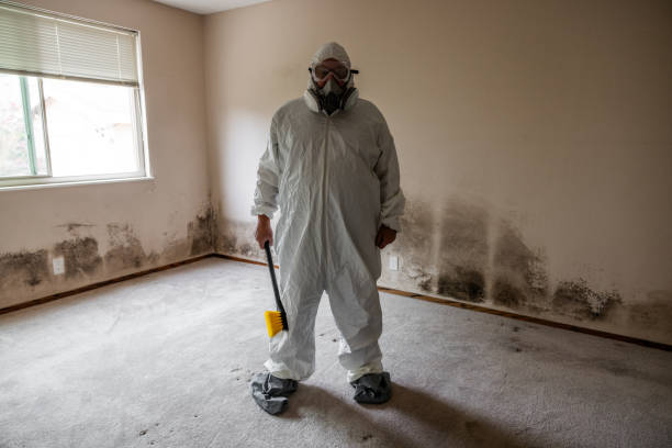 Best DIY Mold Remediation Support Services in Esparto, CA