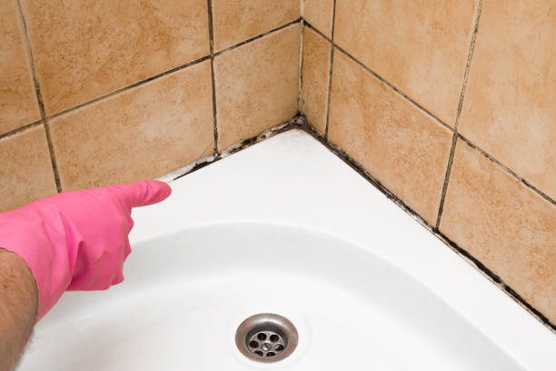 Best Industrial Mold Remediation in Esparto, CA
